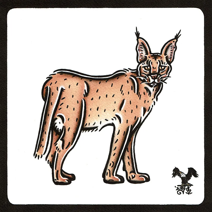 Caracal Original Painting