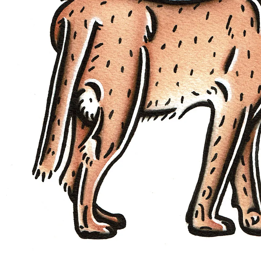 Caracal Original Painting