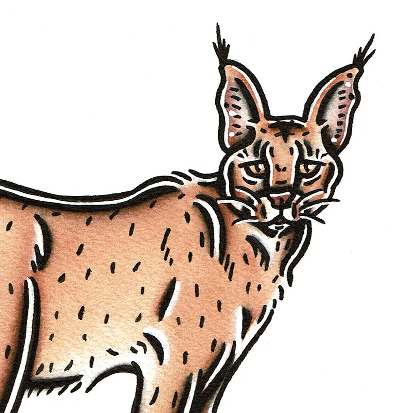 Caracal Original Painting