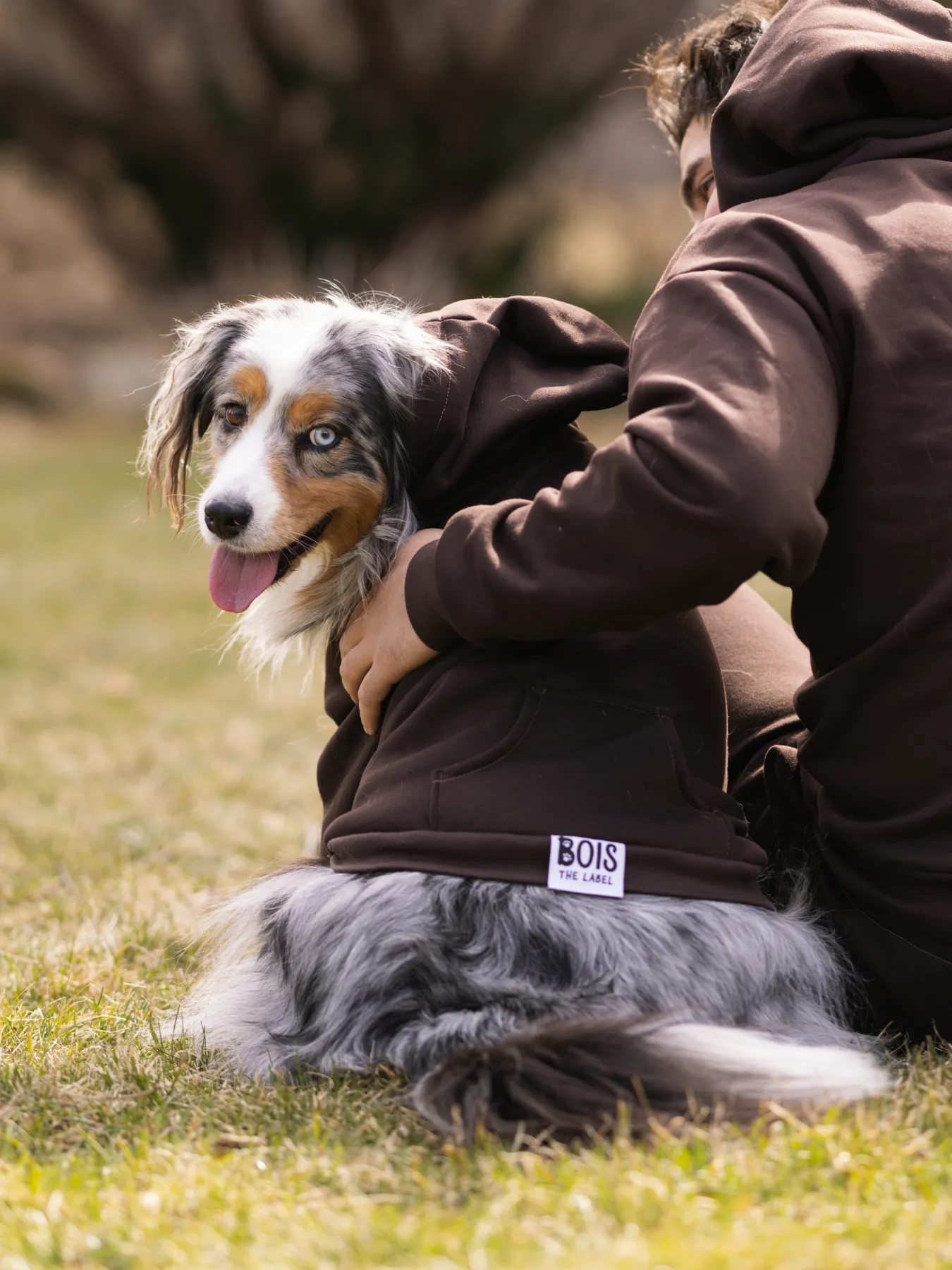 Espresso Dog Hoodie