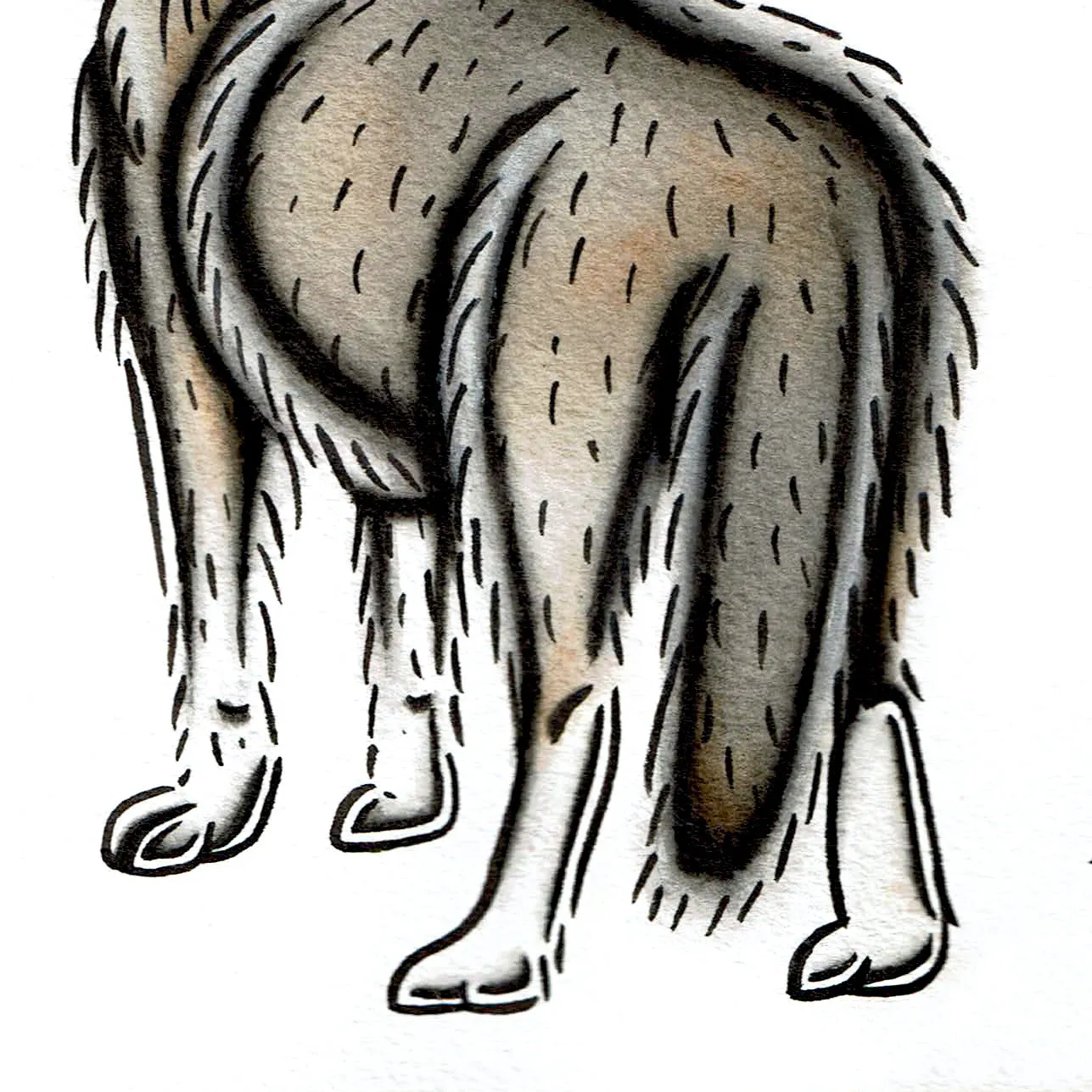 Gray Wolf Original Painting