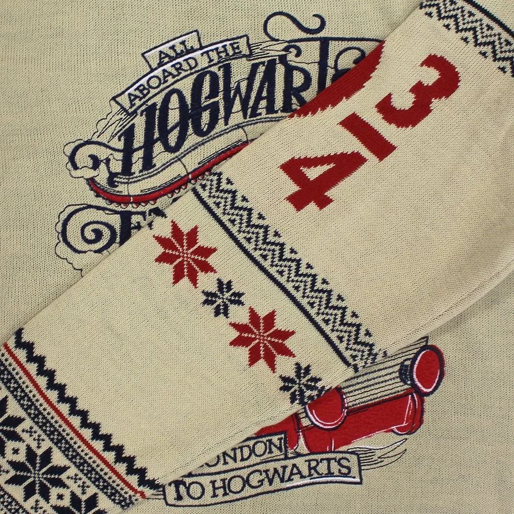 Harry Potter Hogwarts Express Knitted Christmas Jumper / Sweater
