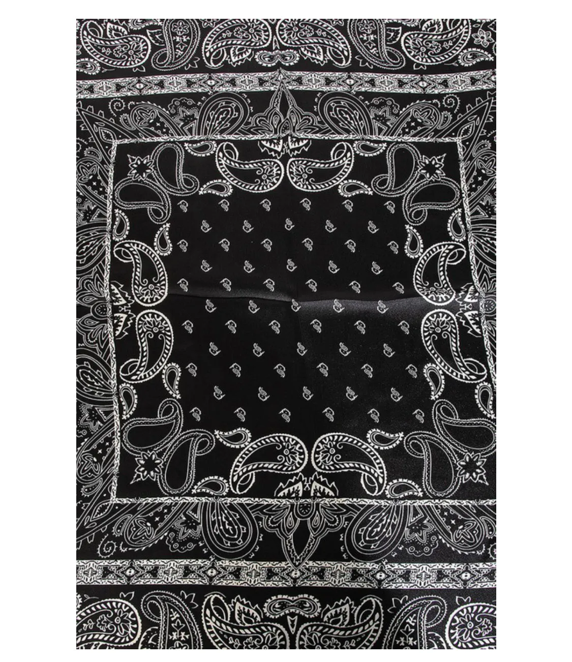 Paisley Boarder Pattern Square Scarf