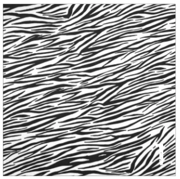 Printed HTV REALISTIC ANIMAL PRINTS Pattern Heat Transfer Vinyl 12 x 12 sheet