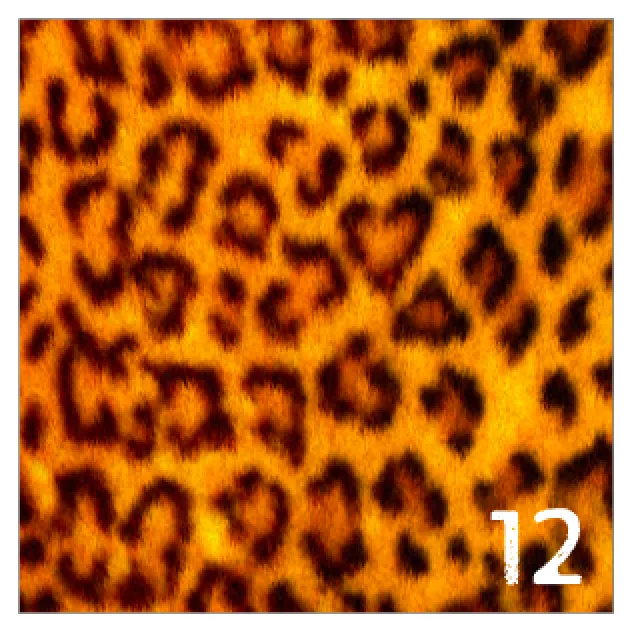 Printed HTV REALISTIC ANIMAL PRINTS Pattern Heat Transfer Vinyl 12 x 12 sheet