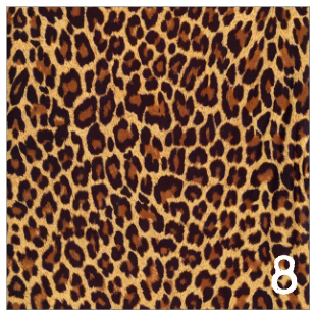 Printed HTV REALISTIC ANIMAL PRINTS Pattern Heat Transfer Vinyl 12 x 12 sheet