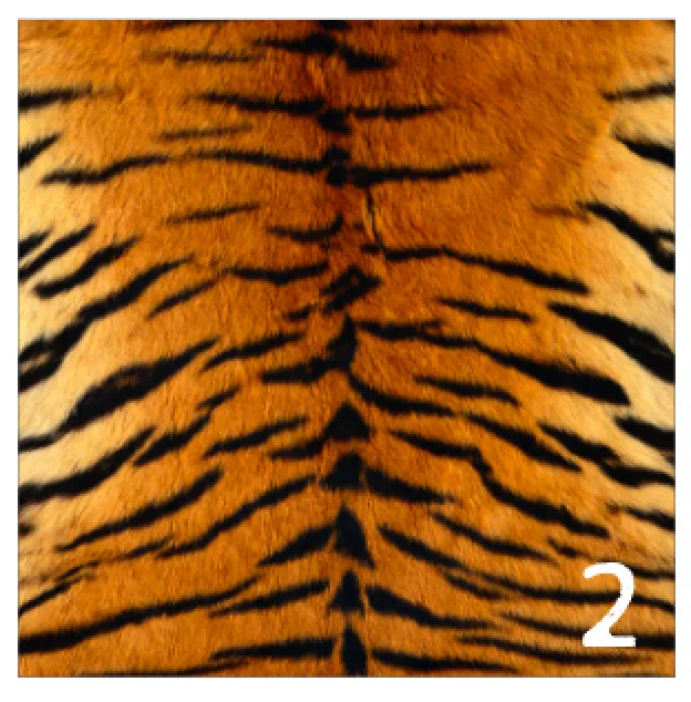 Printed HTV REALISTIC ANIMAL PRINTS Pattern Heat Transfer Vinyl 12 x 12 sheet