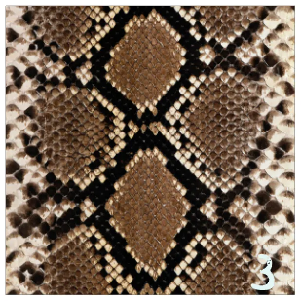Printed HTV REALISTIC ANIMAL PRINTS Pattern Heat Transfer Vinyl 12 x 12 sheet
