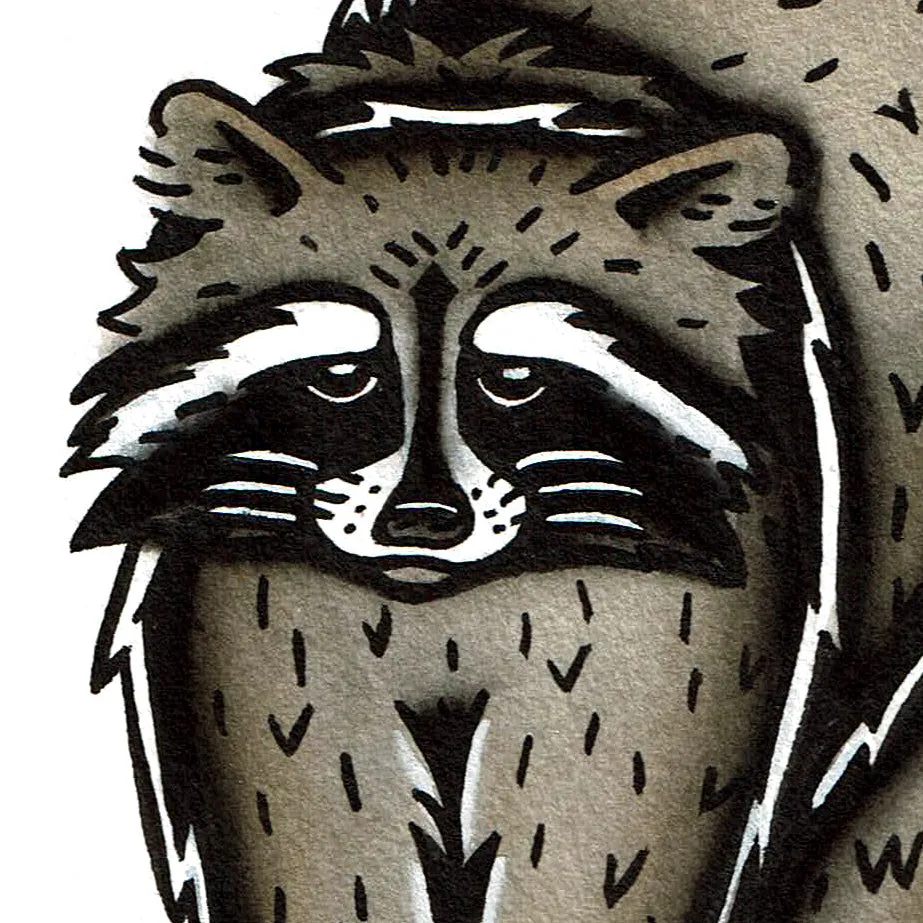Raccoon Original Painting