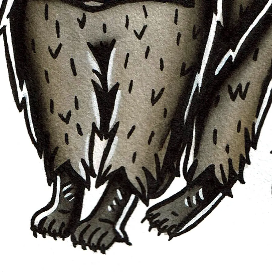 Raccoon Original Painting