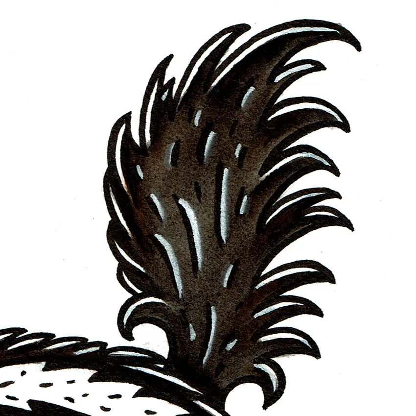 Striped Skunk Original Painting