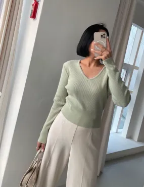 V-Neck Basic Rib Knit Top